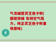 气流破壁灵芝孢子粉(振翅突破 告别空气阻力，纯正灵芝孢子粉重现原味)