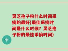 灵芝孢子粉什么时间采摘的最好(最佳采摘时间是什么时候？灵芝孢子粉的最佳采摘时间)
