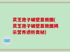 灵芝孢子破壁显微图(灵芝孢子破壁显微图揭示营养透析奥秘)