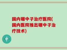 国内硼中子治疗医院(国内医院推出硼中子治疗技术)