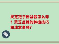 灵芝孢子粉盆栽怎么养？灵芝盆栽的种植技巧和注意事项？