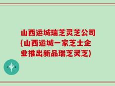 山西运城瑞芝灵芝公司(山西运城一家芝士企业推出新品瑞芝灵芝)