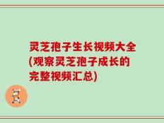灵芝孢子生长视频大全(观察灵芝孢子成长的完整视频汇总)