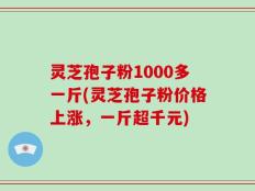 灵芝孢子粉1000多一斤(灵芝孢子粉价格上涨，一斤超千元)