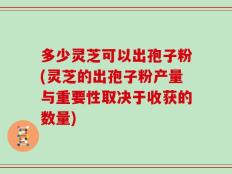 多少灵芝可以出孢子粉(灵芝的出孢子粉产量与重要性取决于收获的数量)