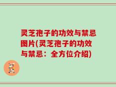 灵芝孢子的功效与禁忌图片(灵芝孢子的功效与禁忌：全方位介绍)