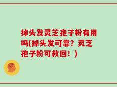 掉头发灵芝孢子粉有用吗(掉头发可靠？灵芝孢子粉可救回！)