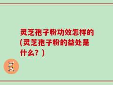 灵芝孢子粉功效怎样的(灵芝孢子粉的益处是什么？)