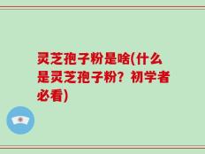 灵芝孢子粉是啥(什么是灵芝孢子粉？初学者必看)