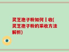 灵芝孢子粉如何採收(灵芝孢子粉的采收方法解析)