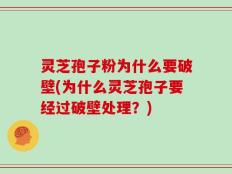 灵芝孢子粉为什么要破壁(为什么灵芝孢子要经过破壁处理？)