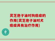 灵芝孢子油对狗癌症的作用(灵芝孢子油对犬癌症具有治疗作用)