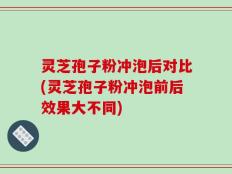 灵芝孢子粉冲泡后对比(灵芝孢子粉冲泡前后效果大不同)