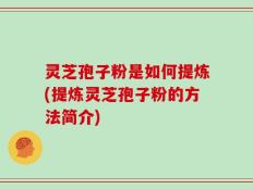 灵芝孢子粉是如何提炼(提炼灵芝孢子粉的方法简介)