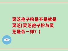 灵芝孢子粉是不是就是灵芝(灵芝孢子粉与灵芝是否一样？)