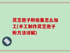 灵芝孢子粉收集怎么加工(手工制作灵芝孢子粉方法详解)