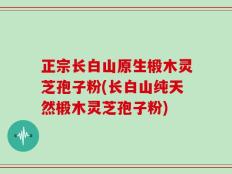 正宗长白山原生椴木灵芝孢子粉(长白山纯天然椴木灵芝孢子粉)