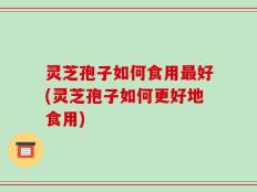 灵芝孢子如何食用最好(灵芝孢子如何更好地食用)