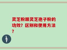 灵芝粉跟灵芝孢子粉的功效？区别和使用方法？