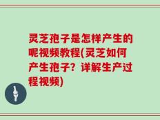 灵芝孢子是怎样产生的呢视频教程(灵芝如何产生孢子？详解生产过程视频)