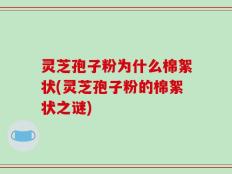 灵芝孢子粉为什么棉絮状(灵芝孢子粉的棉絮状之谜)