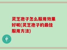 灵芝孢子怎么服用效果好呢(灵芝孢子的最佳服用方法)