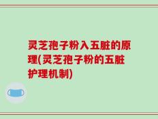 灵芝孢子粉入五脏的原理(灵芝孢子粉的五脏护理机制)