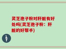 灵芝孢子粉对肝脏有好处吗(灵芝孢子粉：肝脏的好帮手)