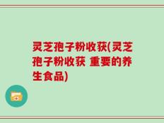 灵芝孢子粉收获(灵芝孢子粉收获 重要的养生食品)