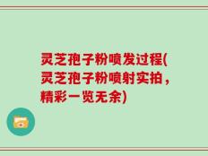 灵芝孢子粉喷发过程(灵芝孢子粉喷射实拍，精彩一览无余)