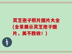 灵芝孢子照片图片大全(全景展示灵芝孢子图片，美不胜收！)
