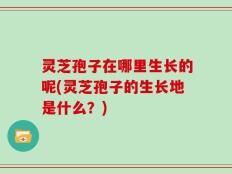 灵芝孢子在哪里生长的呢(灵芝孢子的生长地是什么？)