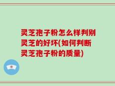 灵芝孢子粉怎么样判别灵芝的好坏(如何判断灵芝孢子粉的质量)