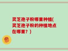 灵芝孢子粉哪里种植(灵芝孢子粉的种植地点在哪里？)