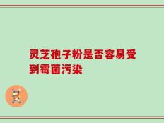 灵芝孢子粉是否容易受到霉菌污染