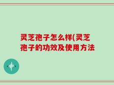 灵芝孢子怎么样(灵芝孢子的功效及使用方法