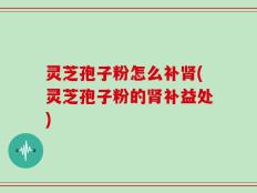 灵芝孢子粉怎么补肾(灵芝孢子粉的肾补益处)