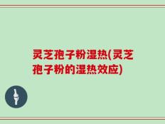 灵芝孢子粉湿热(灵芝孢子粉的湿热效应)