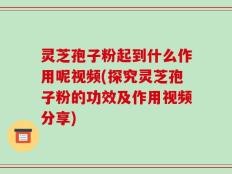 灵芝孢子粉起到什么作用呢视频(探究灵芝孢子粉的功效及作用视频分享)