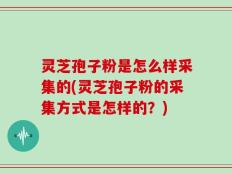 灵芝孢子粉是怎么样采集的(灵芝孢子粉的采集方式是怎样的？)
