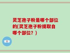 灵芝孢子粉是哪个部位的(灵芝孢子粉提取自哪个部位？)