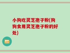 小狗吃灵芝孢子粉(狗狗食用灵芝孢子粉的好处)