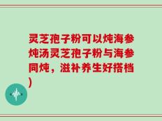 灵芝孢子粉可以炖海参炖汤灵芝孢子粉与海参同炖，滋补养生好搭档)