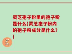 灵芝孢子粉里的孢子粉是什么(灵芝孢子粉内的孢子粉成分是什么？)