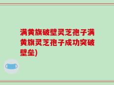 满黄旗破壁灵芝孢子满黄旗灵芝孢子成功突破壁垒)