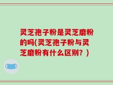 灵芝孢子粉是灵芝磨粉的吗(灵芝孢子粉与灵芝磨粉有什么区别？)