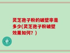 灵芝孢子粉的破壁率是多少(灵芝孢子粉破壁效果如何？)