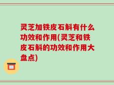 灵芝加铁皮石斛有什么功效和作用(灵芝和铁皮石斛的功效和作用大盘点)