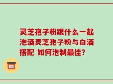 灵芝孢子粉跟什么一起泡酒灵芝孢子粉与白酒搭配 如何泡制最佳？