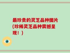 最珍贵的灵芝品种图片(珍稀灵芝品种震撼呈现！)